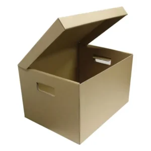 20 PACK ARCHIVE CARTON